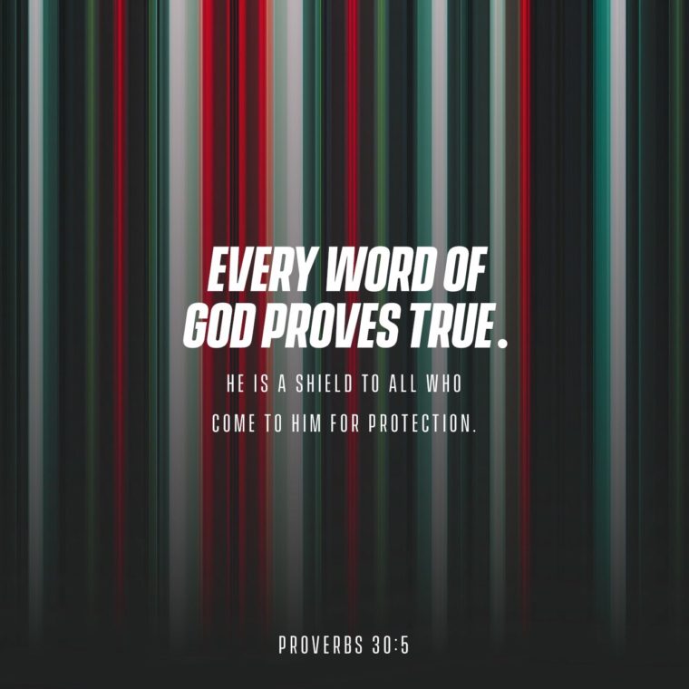 Proverbs 30:5