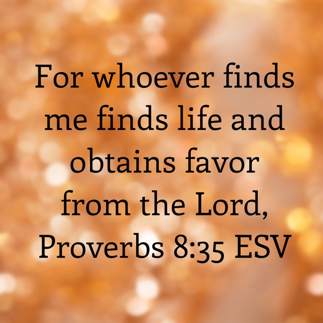 Proverbs 8:35 ESV