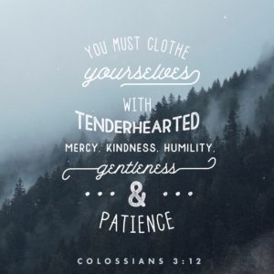 Colossians 3:12